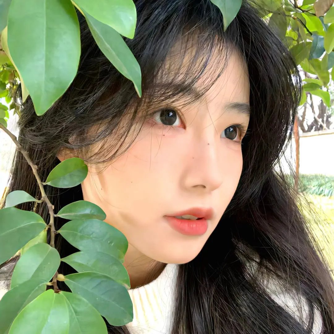 让他们说话吧